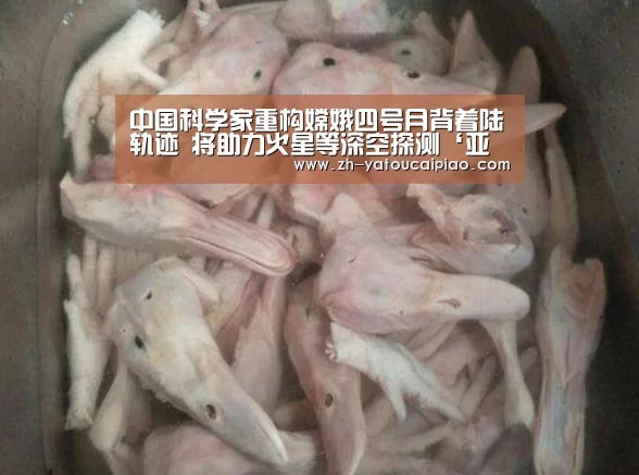 中国科学家重构嫦娥四号月背着陆轨迹 将助力火星等深空探测‘亚投彩票’(图4) 亚投彩票