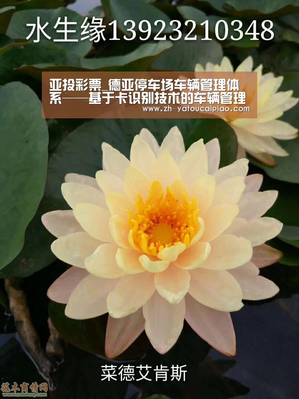亚投彩票_德亚停车场车辆管理体系——基于卡识别技术的车辆管理系统(图1) 亚投彩票
