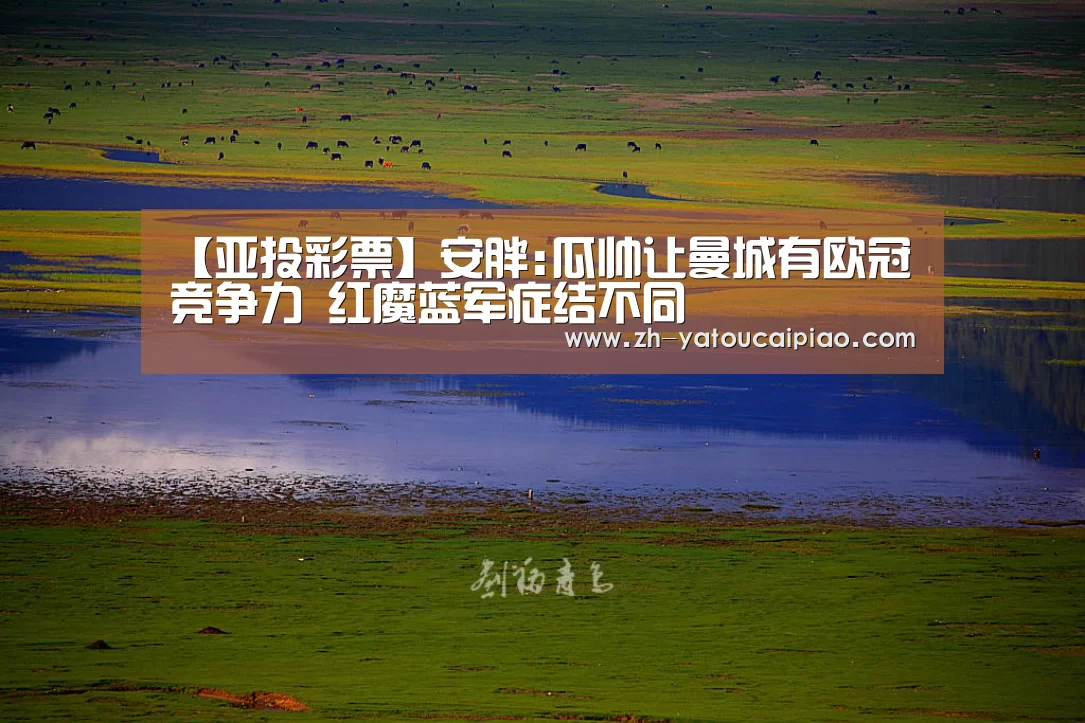 【亚投彩票】安胖:瓜帅让曼城有欧冠竞争力 红魔蓝军症结不同(图3) 亚投彩票