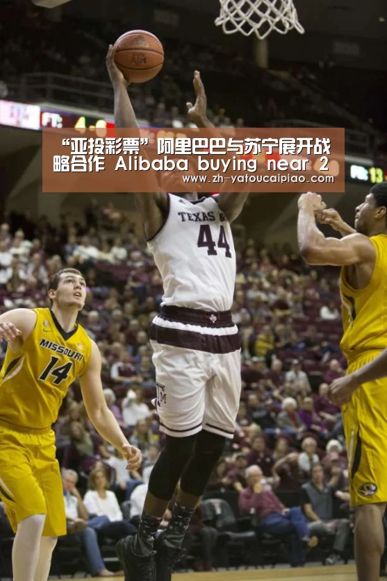 “亚投彩票”阿里巴巴与苏宁展开战略合作 Alibaba buying near 20% stake in Suning(图2) 亚投彩票
