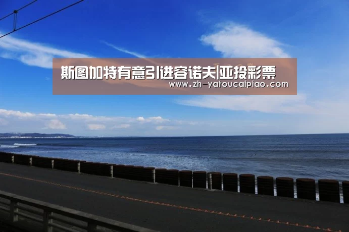 斯图加特有意引进容诺夫|亚投彩票(图2) 亚投彩票