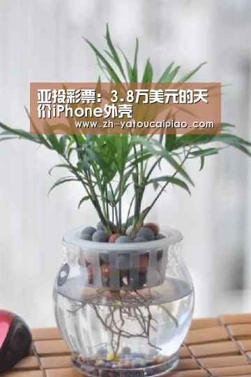 亚投彩票:3.8万美元的天价iPhone外壳(图4) 亚投彩票