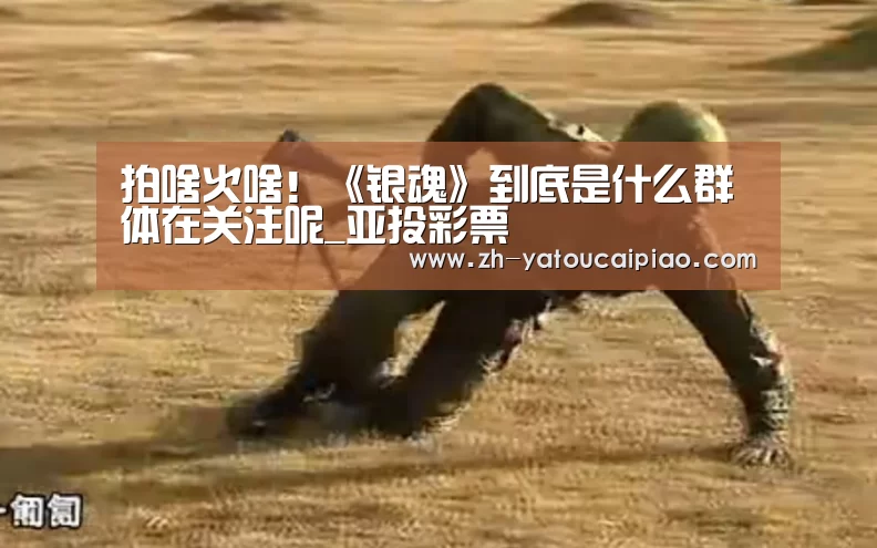 拍啥火啥!《银魂》到底是什么群体在关注呢_亚投彩票(图1) 亚投彩票
