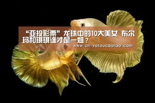 “亚投彩票”龙珠中的10大美女 布尔玛和琪琪谁才是一姐?(图1) 亚投彩票